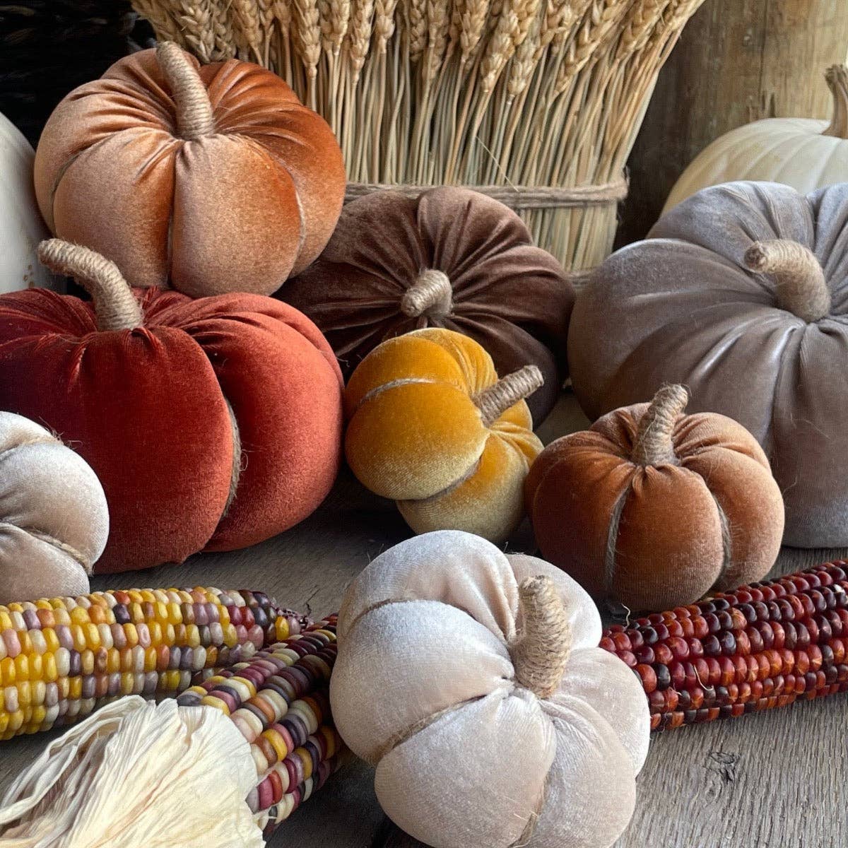 Golden Velvet Fall Pumpkin