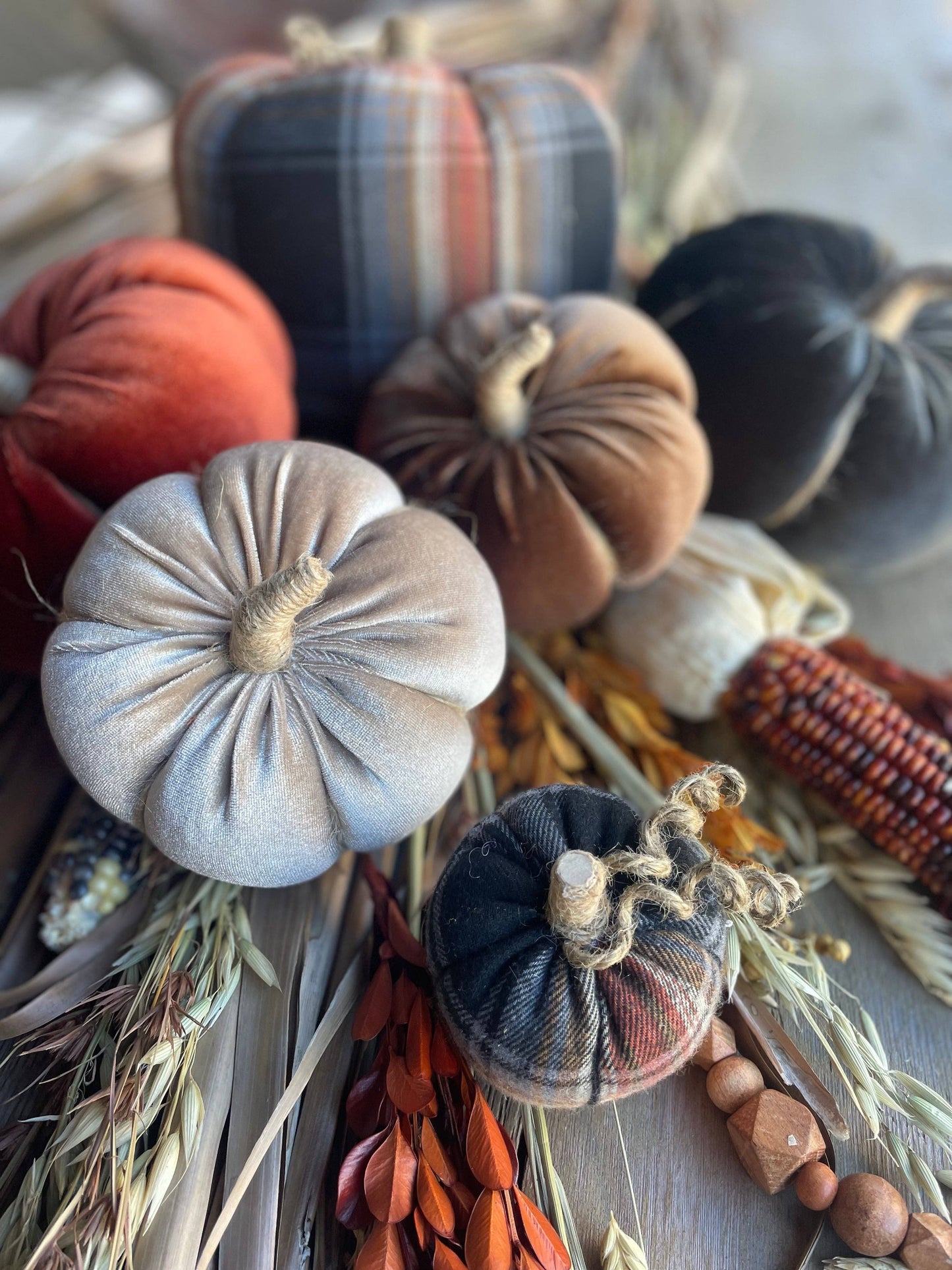 Desert Velvet Fall Pumpkin