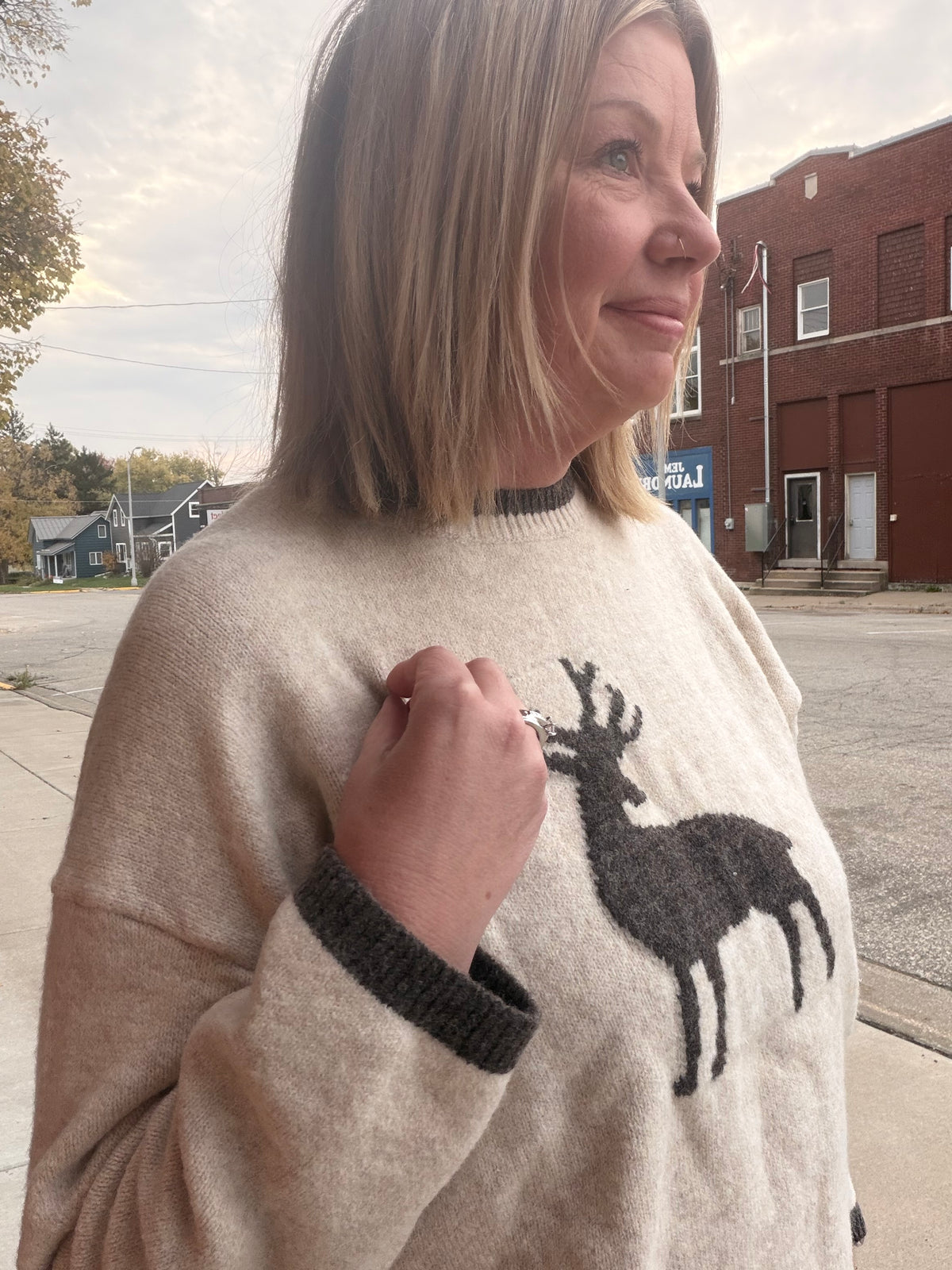 OH DEER! Graphic Knit Pullover Sweater