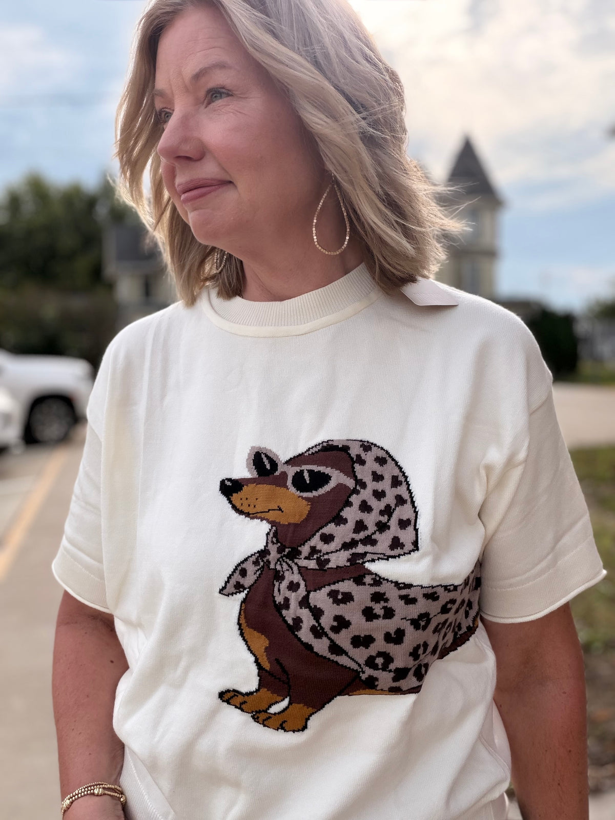 Looking Beautiful Leopard Dachshund Graphic Sweater Top