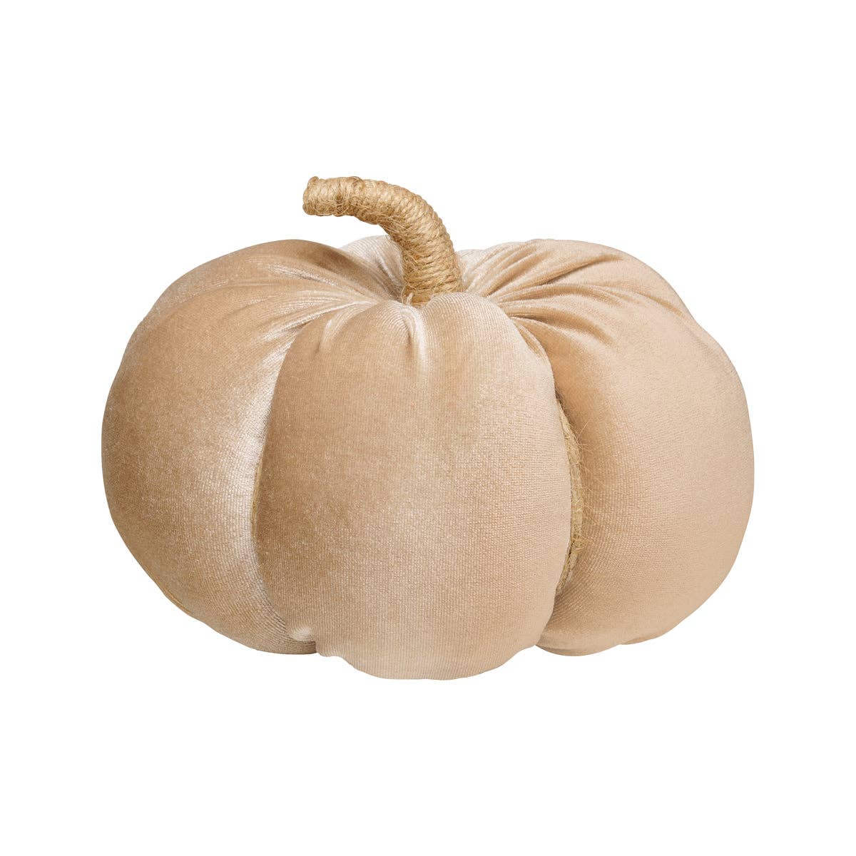Desert Velvet Fall Pumpkin