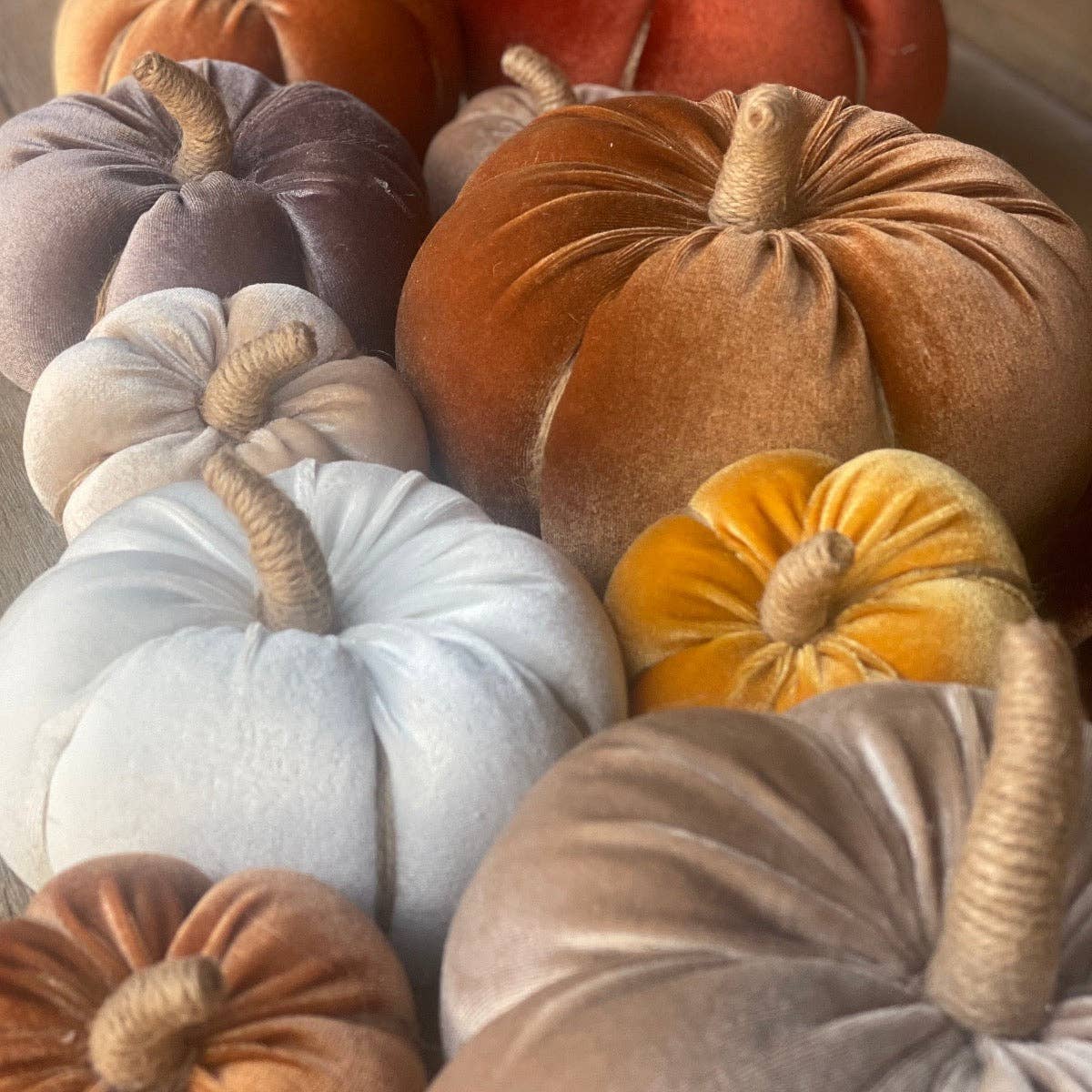 Golden Velvet Fall Pumpkin