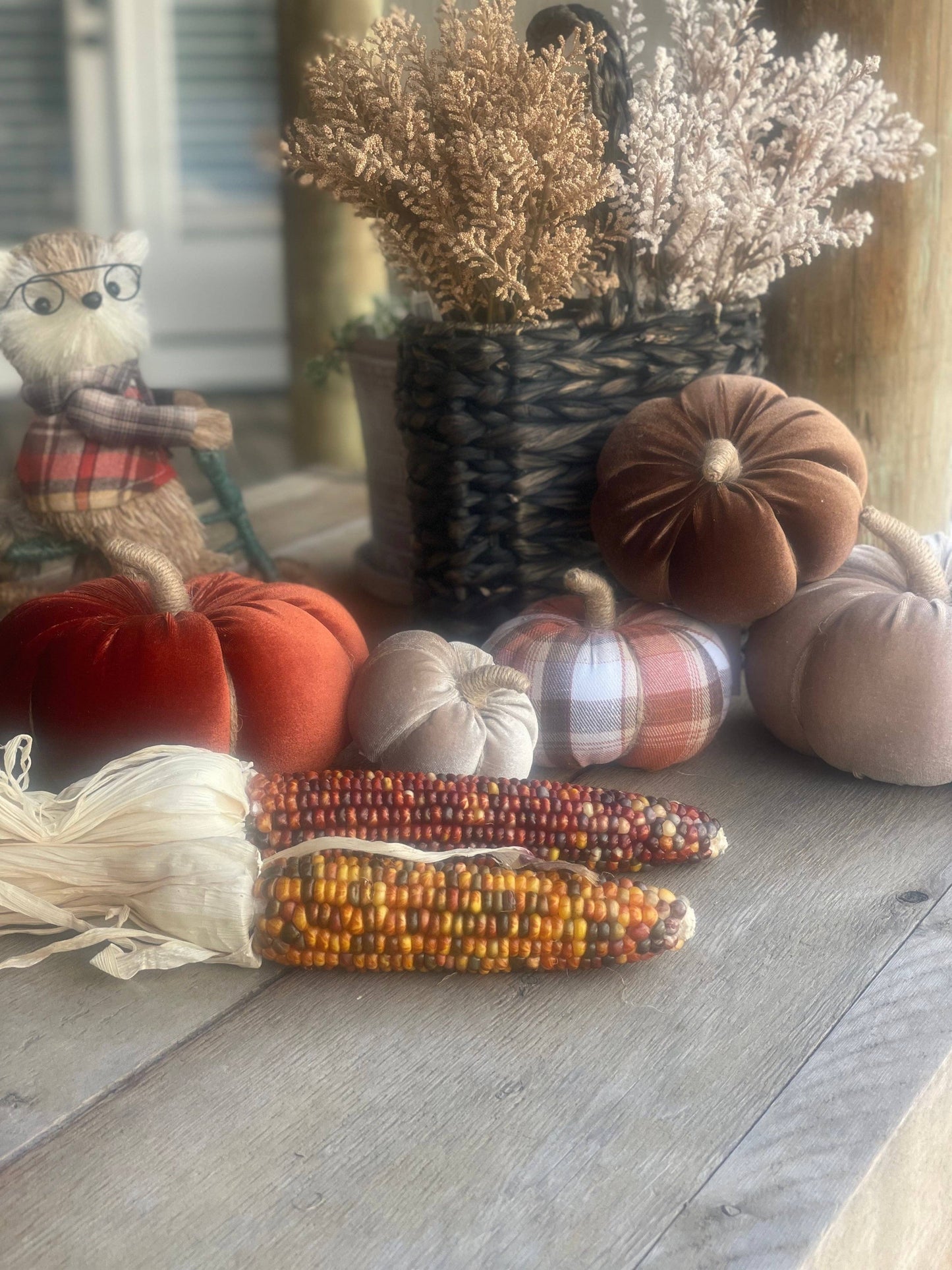 Desert Velvet Fall Pumpkin
