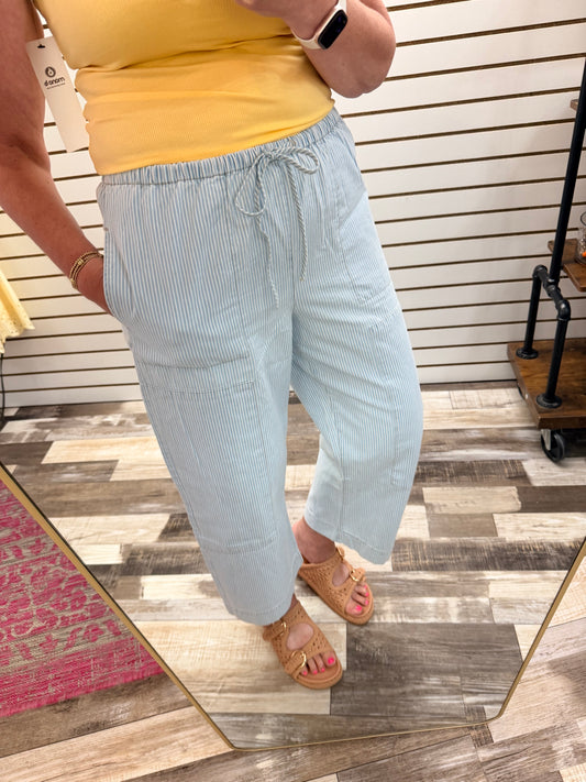 Z Supply Soft Denim Carpenter Pant