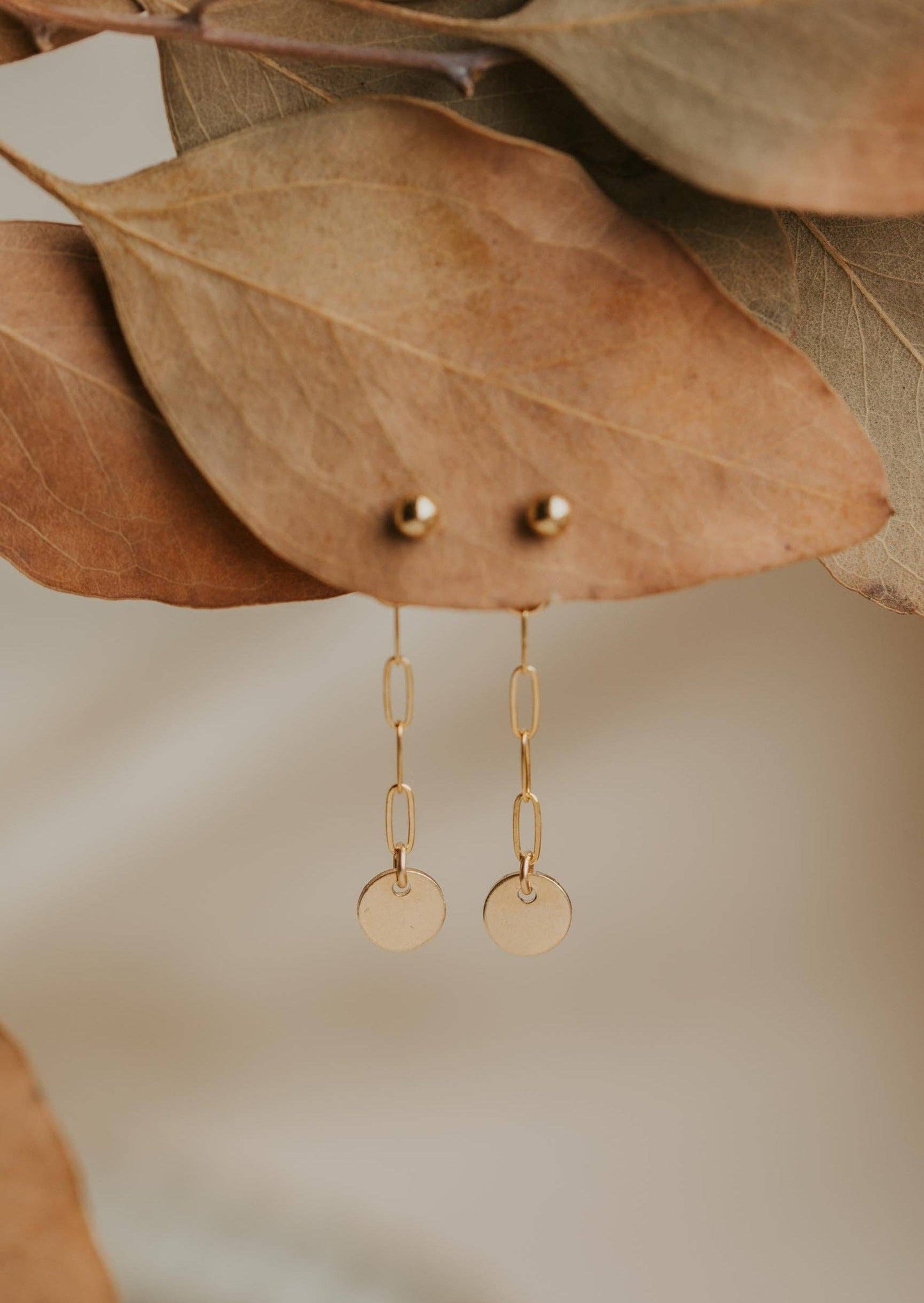 Confetti Backdrop | 14kt Gold Fill