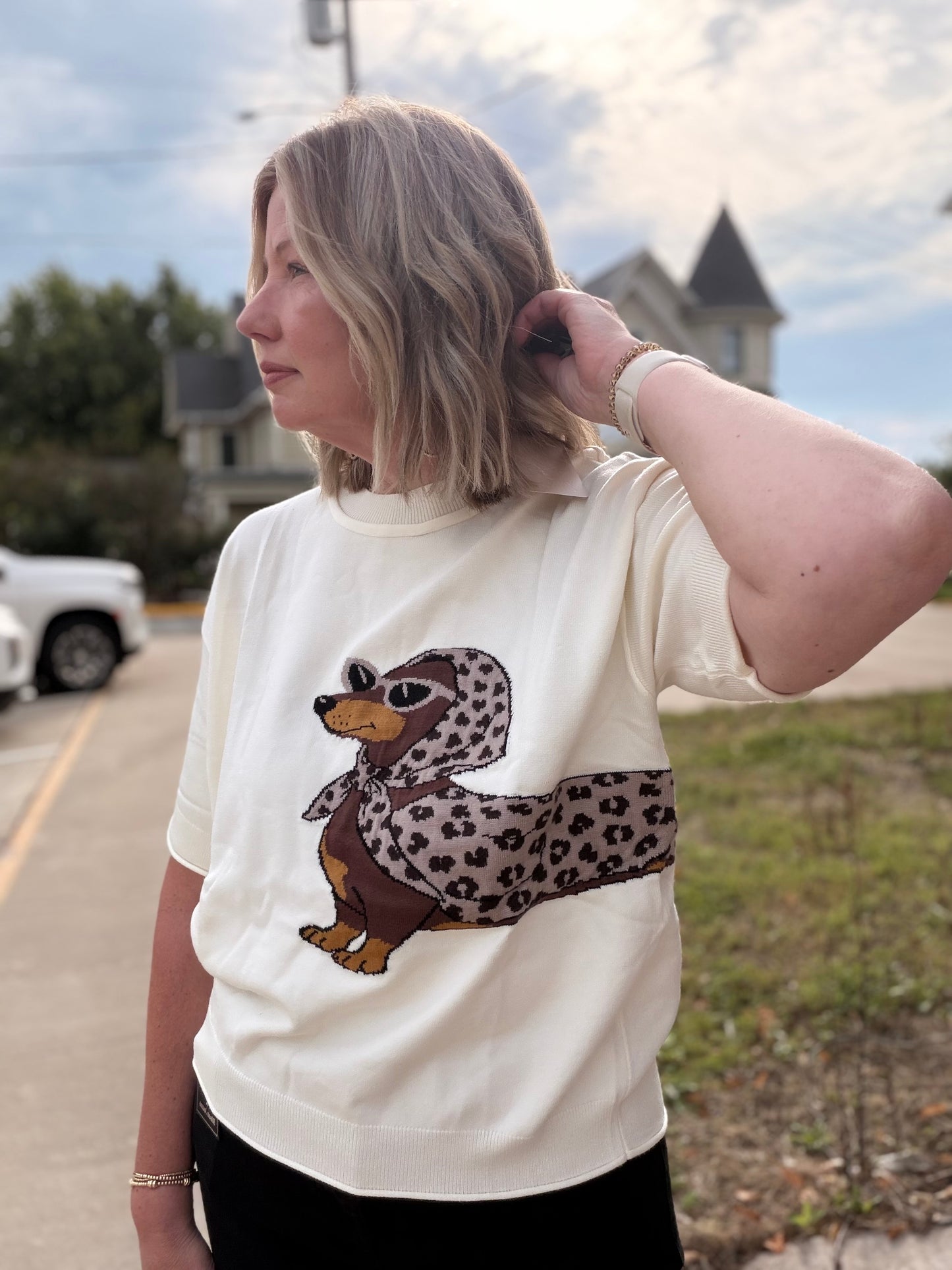 Looking Beautiful Leopard Dachshund Graphic Sweater Top