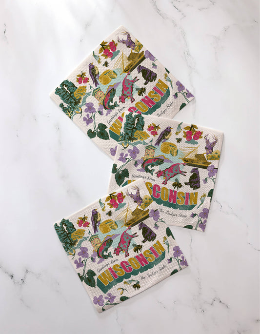 Greetings From Wisconsin Dishcloth Set