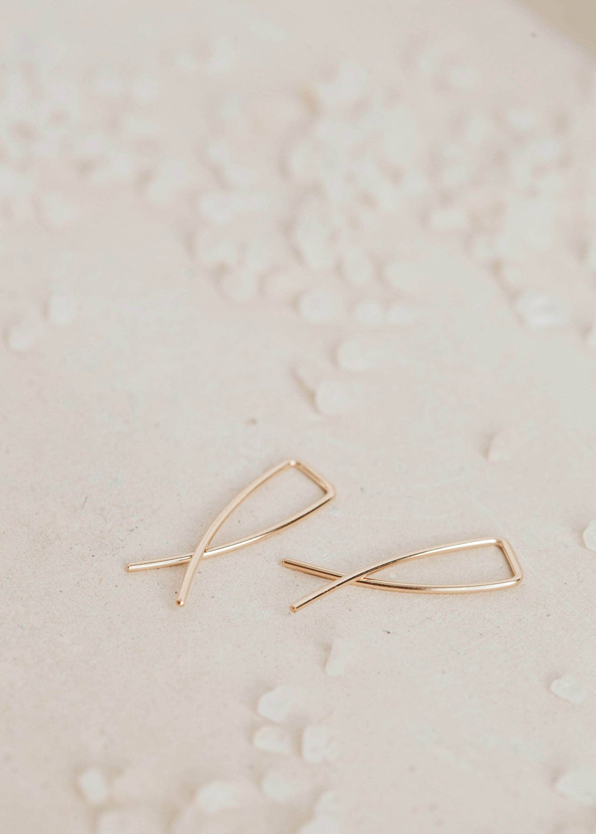 MINI Pescados | 14kt Gold Fill