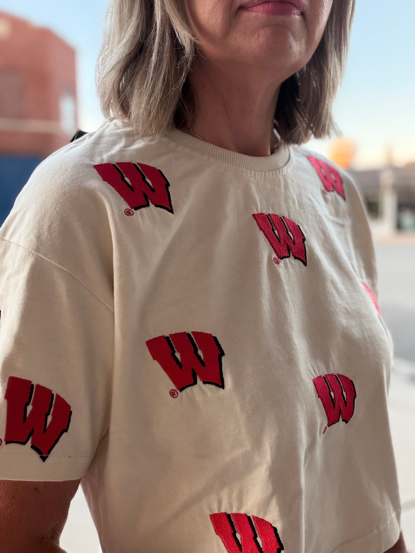 Wisconsin Ritter Multi Color Heavyweight Crop Tee
