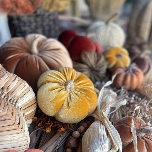 Golden Velvet Fall Pumpkin