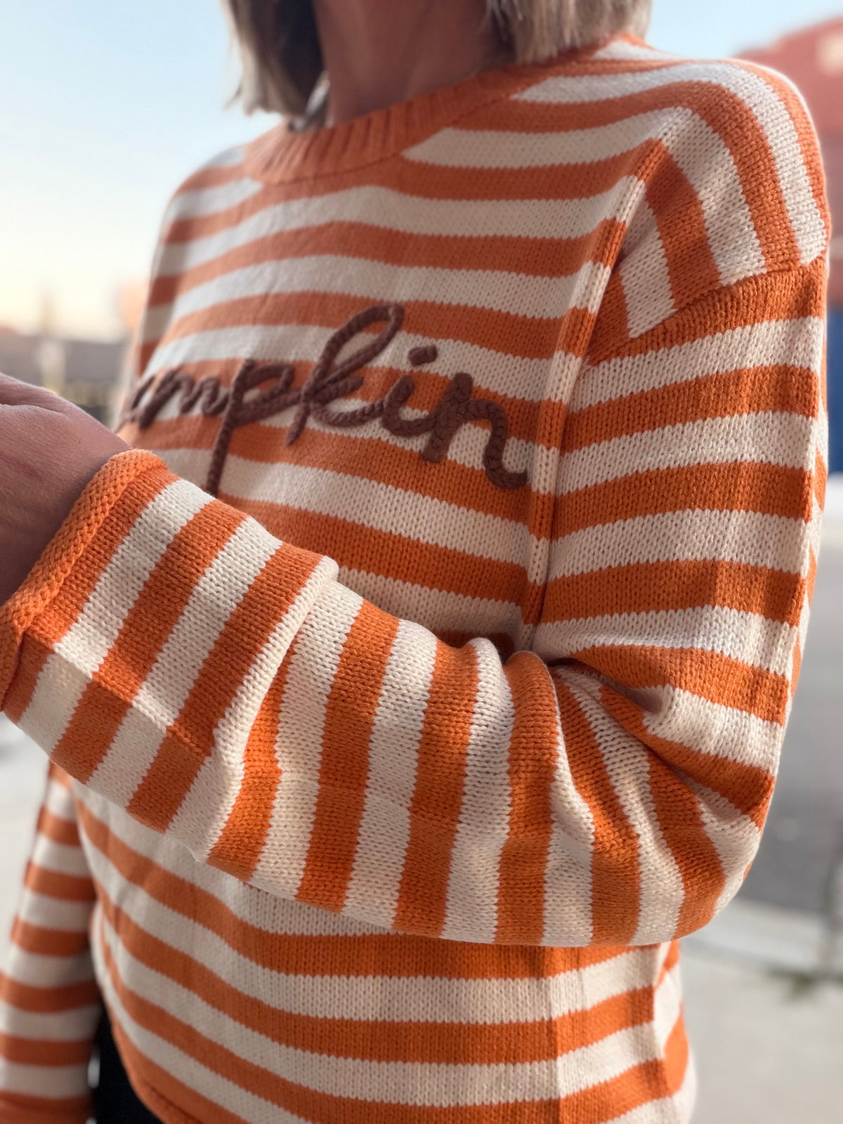 Pumpkin Script Striped Knit Sweater