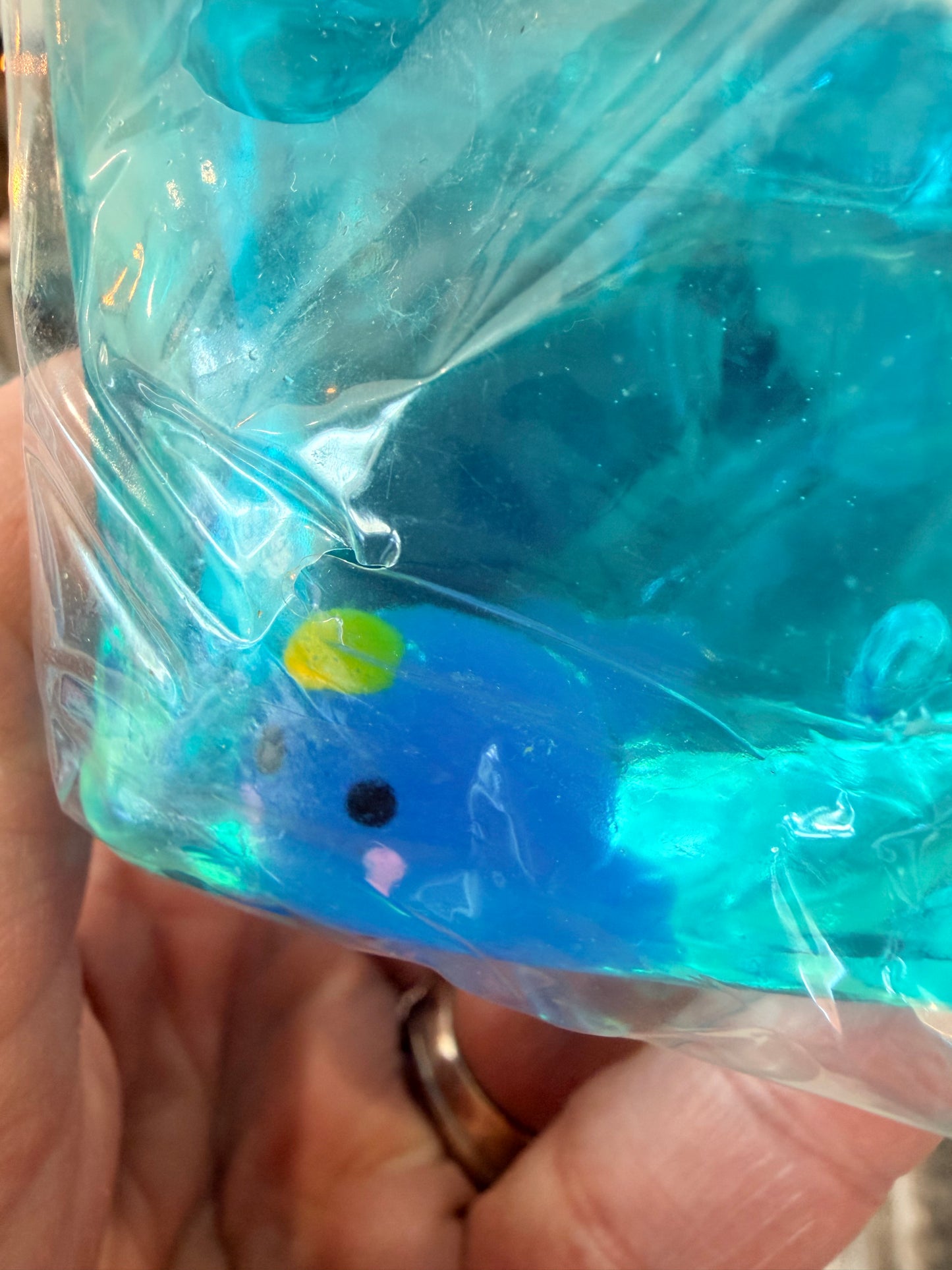 Whale Squishy