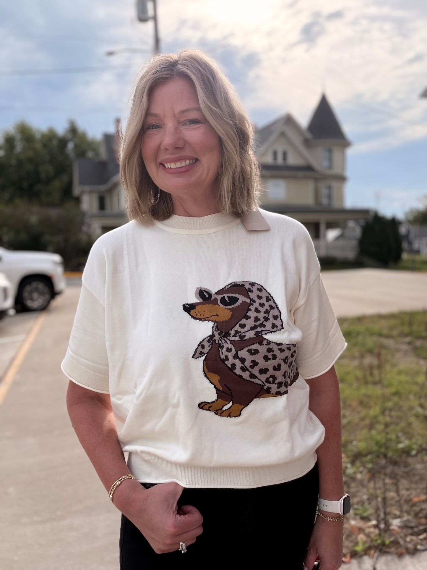 Looking Beautiful Leopard Dachshund Graphic Sweater Top