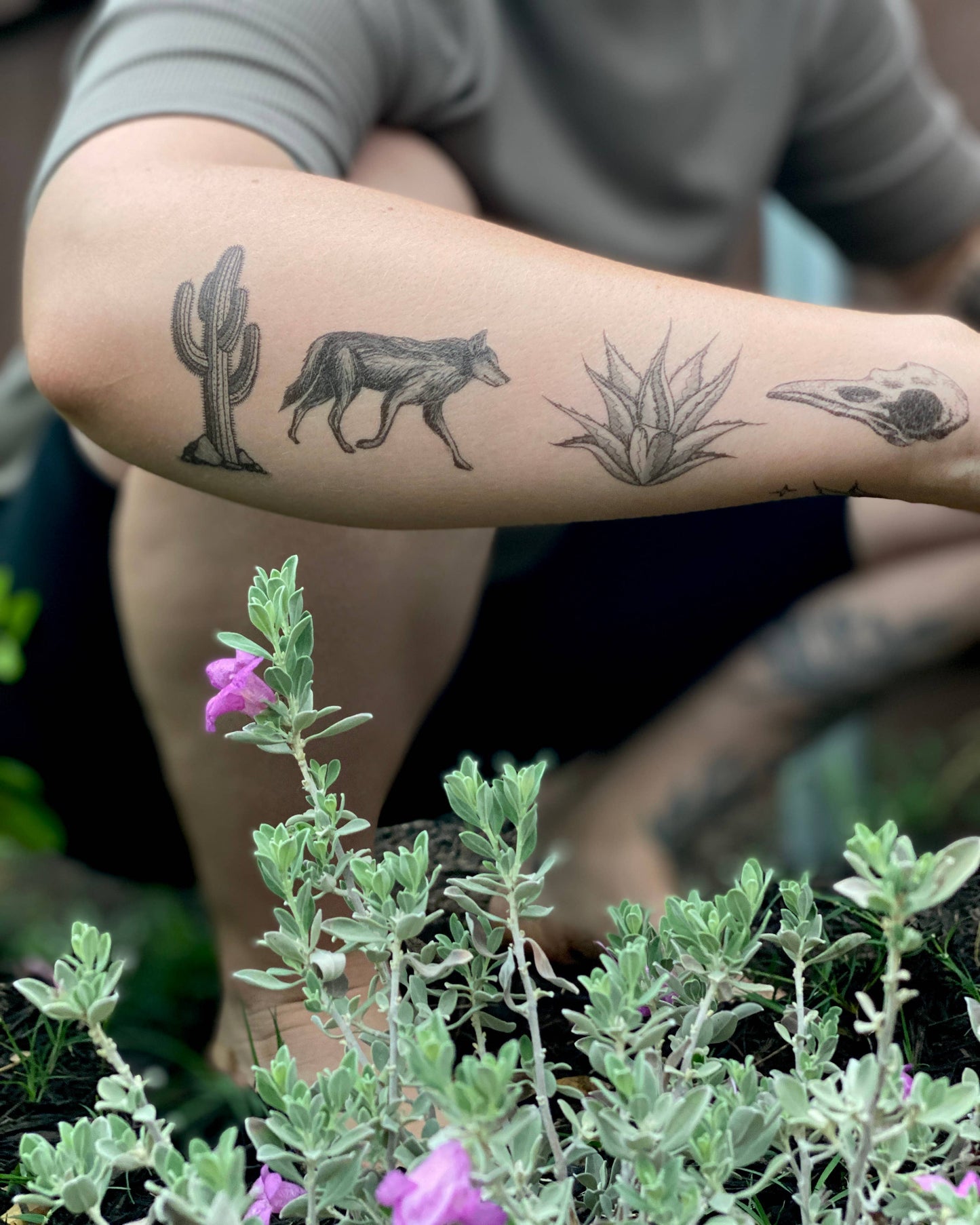 Desert Wild Temporary Tattoo