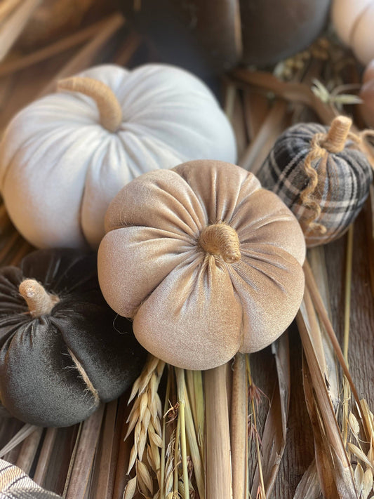 Desert Velvet Fall Pumpkin