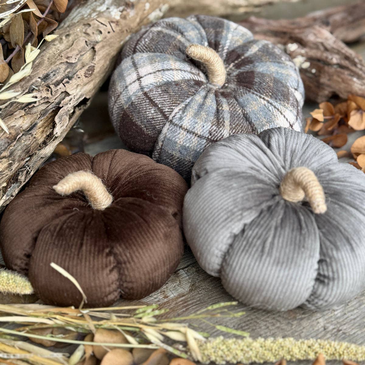 Med. Gray Corduroy Pumpkin
