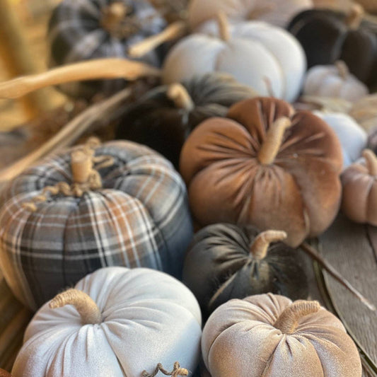 Med. Pecan Velvet Fall Pumpkin